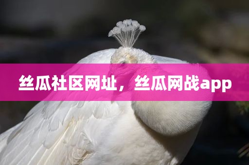 丝瓜社区网址，丝瓜网战app