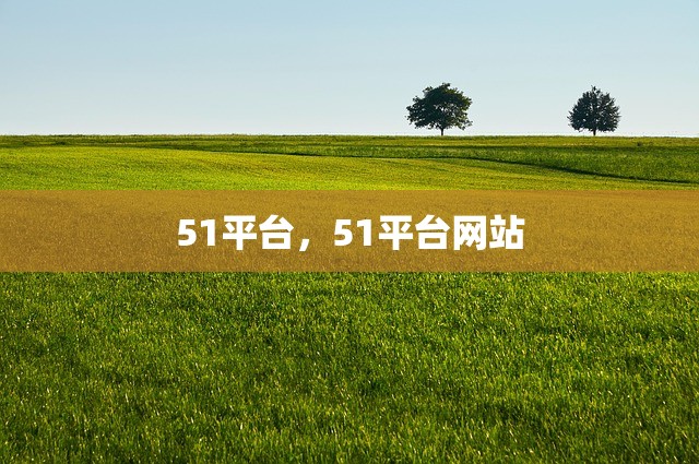 51平台，51平台网站