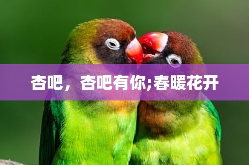 杏吧，杏吧有你;春暖花开