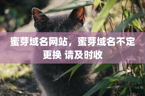蜜芽域名网站，蜜芽域名不定更换 请及时收