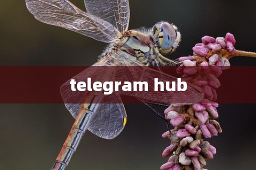 telegram hub