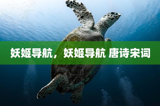 妖姬导航，妖姬导航 唐诗宋词