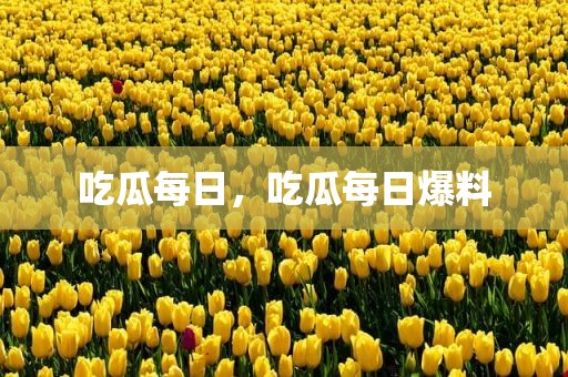 吃瓜每日，吃瓜每日爆料