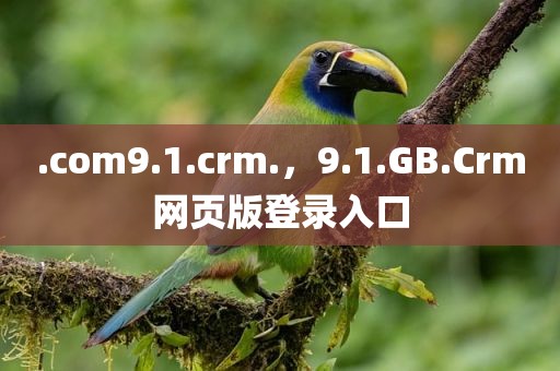 .com9.1.crm.，9.1.GB.Crm网页版登录入口