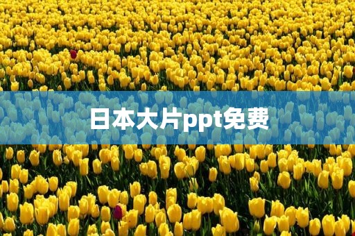 日本大片ppt免费