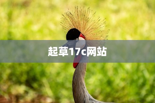 起草17c网站