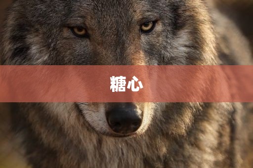 糖心