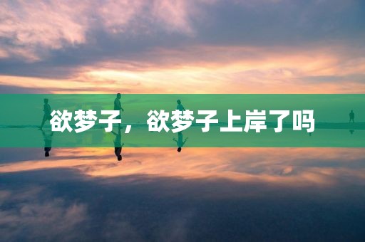 欲梦子，欲梦子上岸了吗
