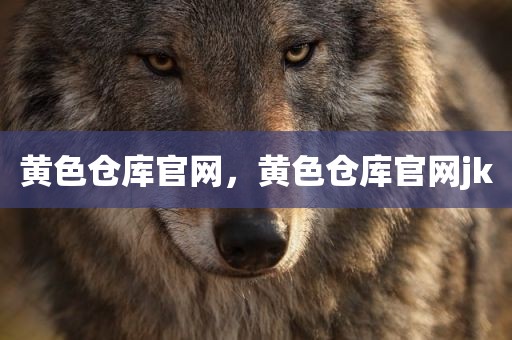 黄色仓库官网，黄色仓库官网jk