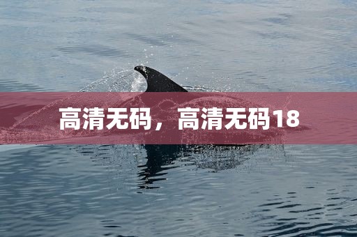 高清无码，高清无码18