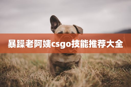 暴躁老阿姨csgo技能推荐大全