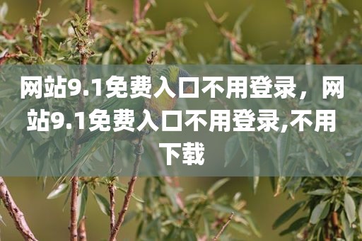 网站9.1免费入口不用登录，网站9.1免费入口不用登录,不用下载
