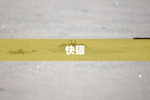 快猫