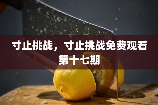 寸止挑战，寸止挑战免费观看第十七期