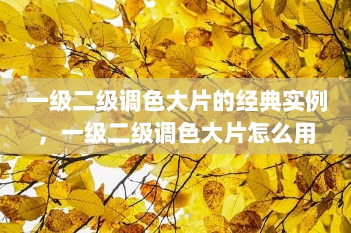 一级二级调色大片的经典实例，一级二级调色大片怎么用