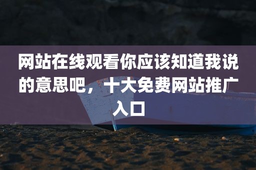 网站在线观看你应该知道我说的意思吧，十大免费网站推广入口
