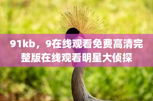 91kb，9在线观看免费高清完整版在线观看明星大侦探
