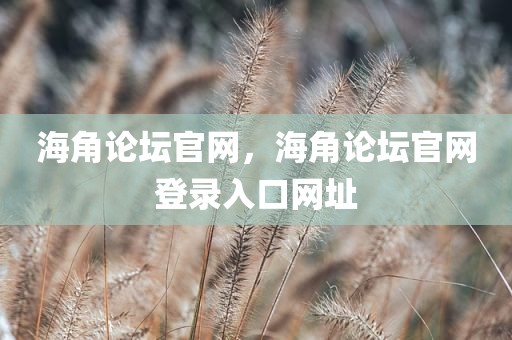 海角论坛官网，海角论坛官网登录入口网址