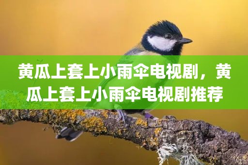 黄瓜上套上小雨伞电视剧，黄瓜上套上小雨伞电视剧推荐