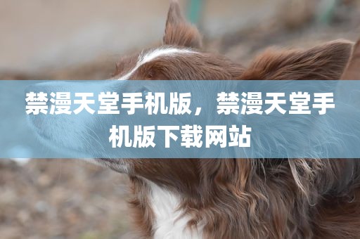 禁漫天堂手机版，禁漫天堂手机版下载网站