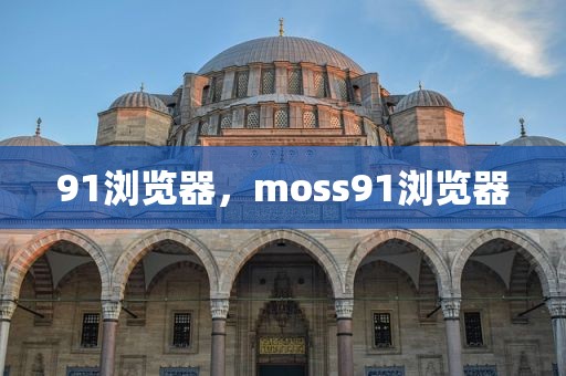91浏览器，moss91浏览器