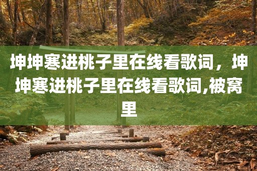 坤坤寒进桃子里在线看歌词，坤坤寒进桃子里在线看歌词,被窝里