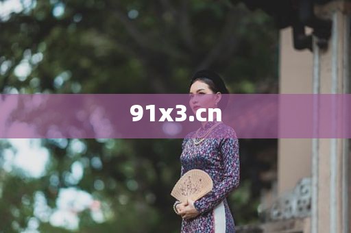 91x3.cn