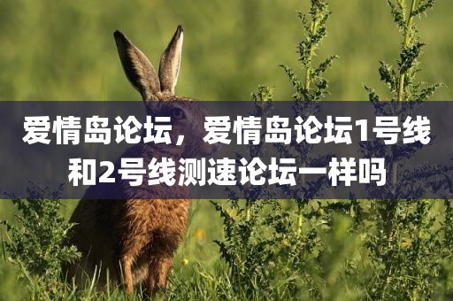 爱情岛论坛，爱情岛论坛1号线和2号线测速论坛一样吗