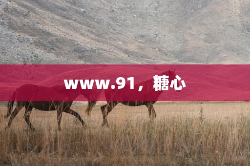 www.91，糖心