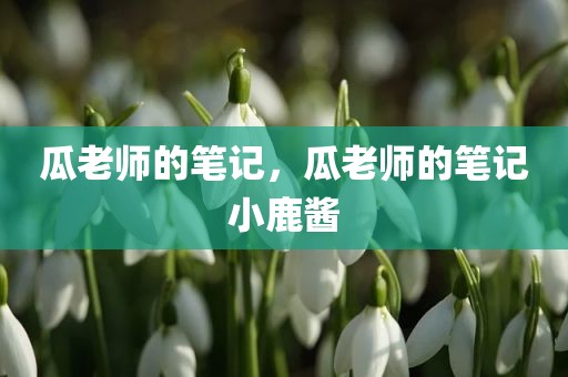 瓜老师的笔记，瓜老师的笔记小鹿酱