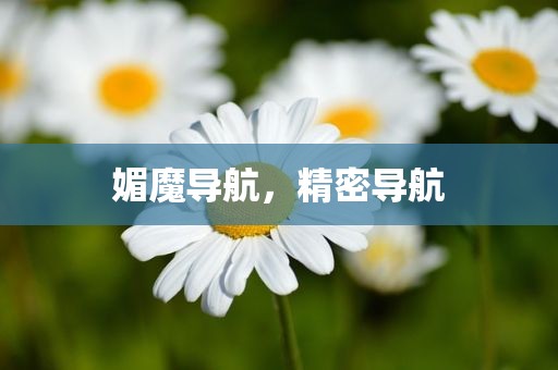 媚魔导航，精密导航