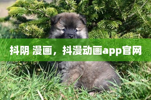 抖阴 漫画，抖漫动画app官网