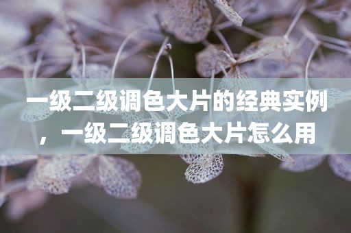 一级二级调色大片的经典实例，一级二级调色大片怎么用