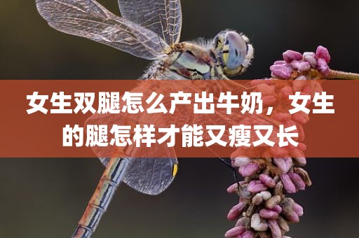 女生双腿怎么产出牛奶，女生的腿怎样才能又瘦又长