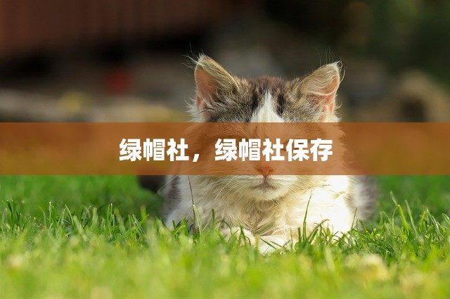 绿帽社，绿帽社保存