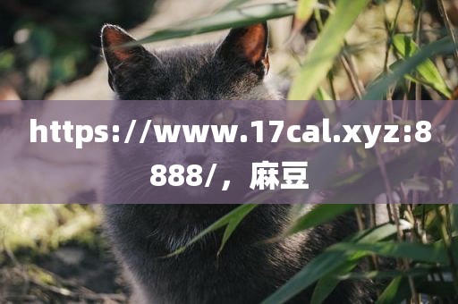 https://www.17cal.xyz:8888/，麻豆