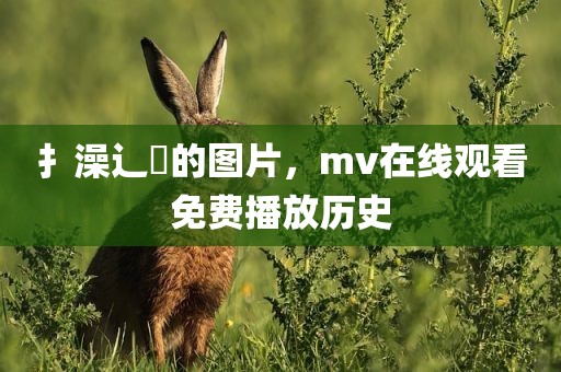 扌澡辶畐的图片，mv在线观看免费播放历史