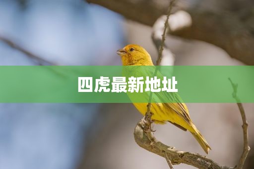 四虎最新地址