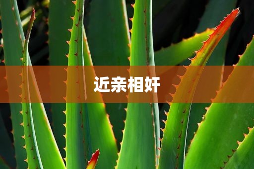 近亲相奸