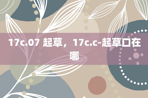 17c.07 起草，17c.c-起草口在哪
