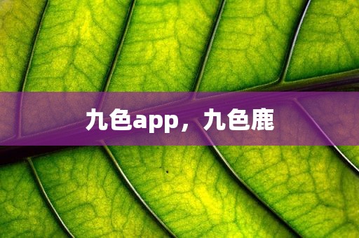 九色app，九色鹿