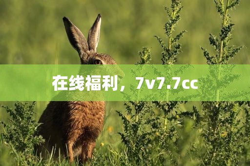 在线福利，7v7.7cc