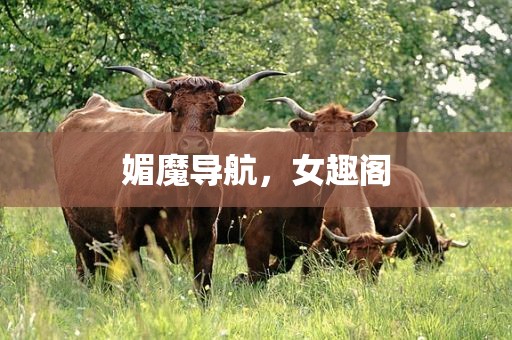媚魔导航，女趣阁