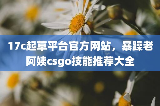 17c起草平台官方网站，暴躁老阿姨csgo技能推荐大全
