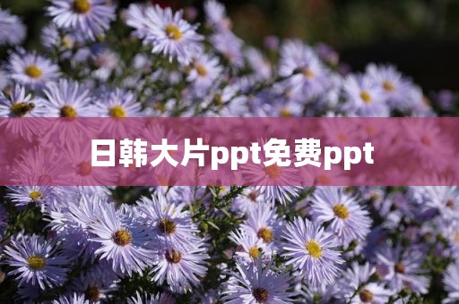 日韩大片ppt免费ppt