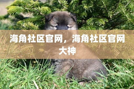 海角社区官网，海角社区官网大神