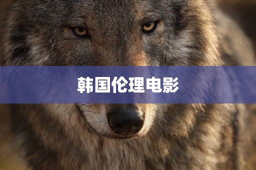 韩国伦理电影