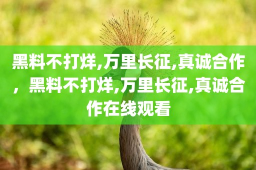 黑料不打烊,万里长征,真诚合作，黑料不打烊,万里长征,真诚合作在线观看