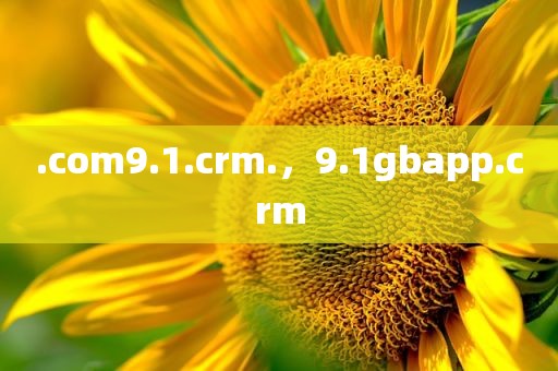 .com9.1.crm.，9.1gbapp.crm