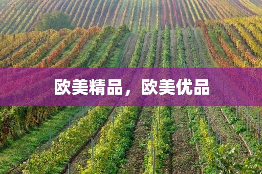 欧美精品，欧美优品